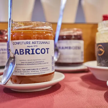 Lejlighedshotel Odalys Isatis Chamonix